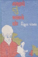 Hajiye Tu Sambhare Chhe