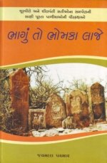 Bhagu To Bhomka Laje