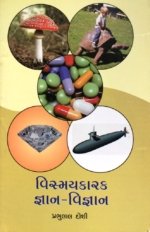 Vismaykarak Gnan Vignan